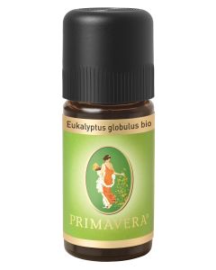 Eukalyptus globulus bio, 10ml