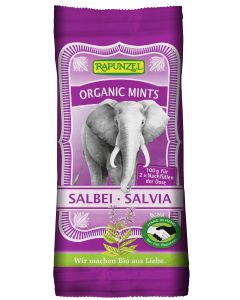 Organic Mints Salbei - Salvia HIH, 100g