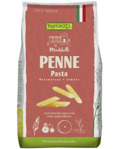 12er-Pack: Penne Semola, 500g