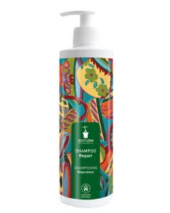 Shampoo Repair, 500ml