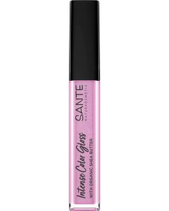 Intense Color Gloss 05, 5,3ml